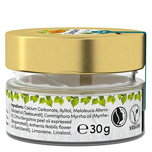 Birkengold Polvo dental de hierbas, natural, sin plástico, envasado en frasco de vidrio